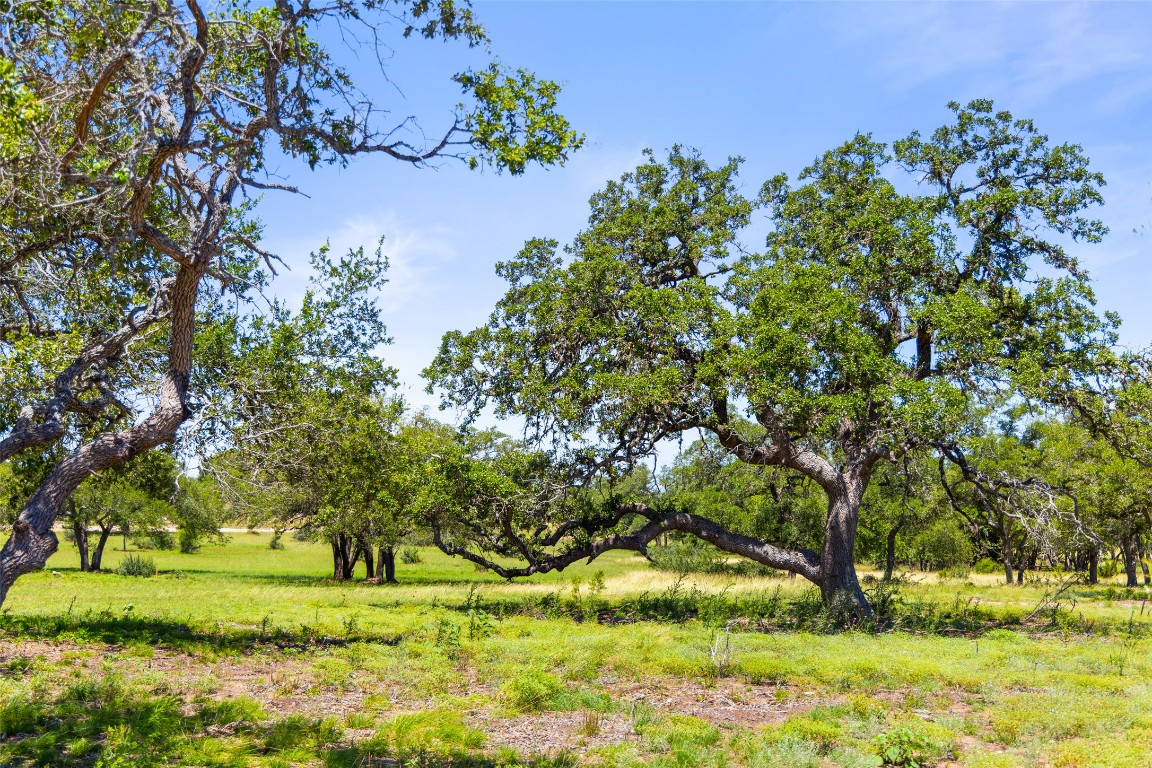 1094 Lindeman Lane Blanco, TX 78606 - Photo 11 of 11