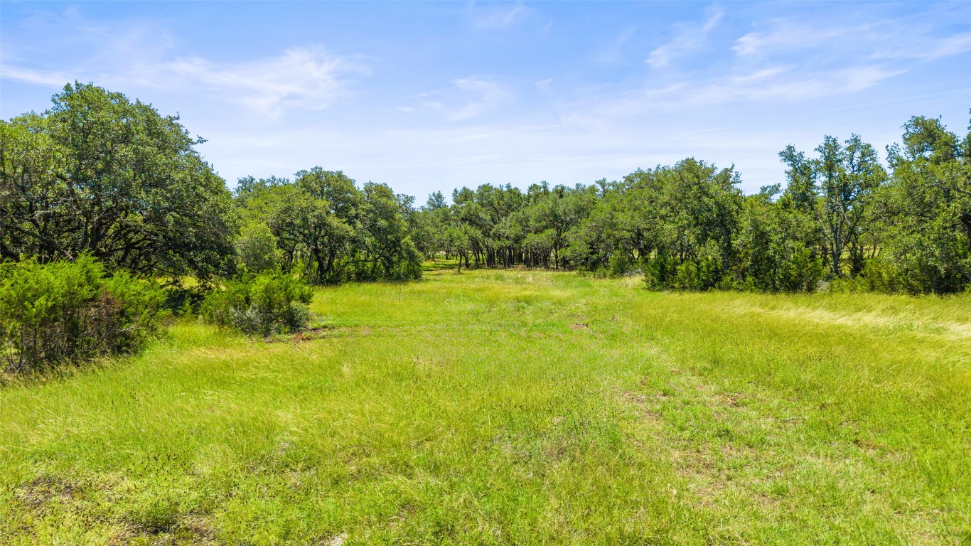 1094 Lindeman Lane Blanco, TX 78606 - Photo 3 of 11 a backyard of a house with lots of green space