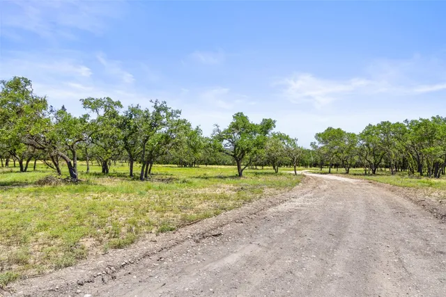 a view of a field with trees in the background