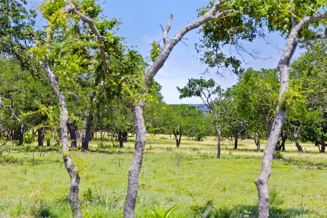 a view of yard with green space and trees