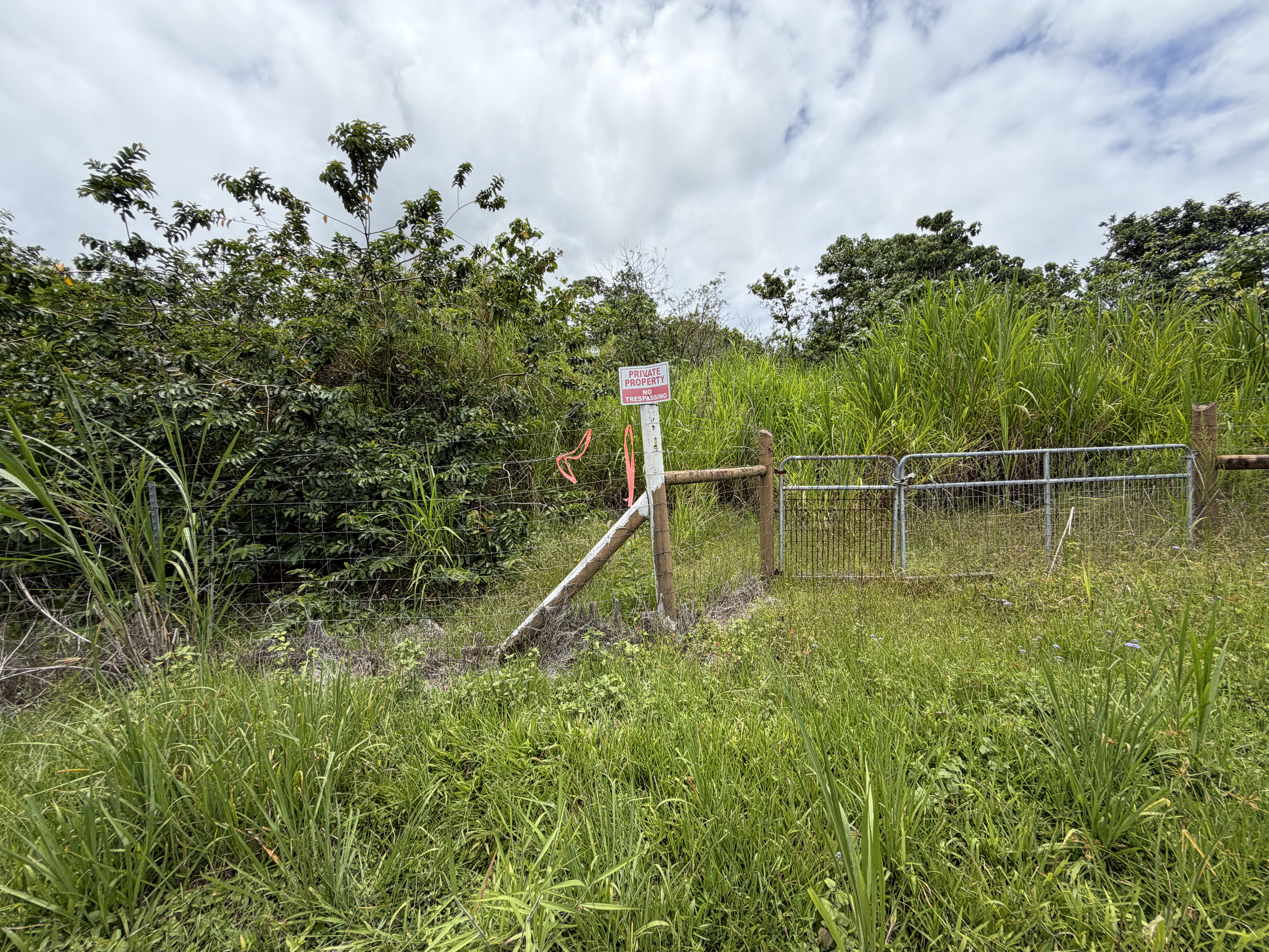 2 Opihikau Road Pahoa, HI 96778 - Photo 15 of 16