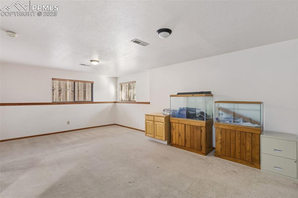 2555 Ramsgate Terrace Colorado Springs, CO 80919 - Photo 20 of 38 Rec Room lower level