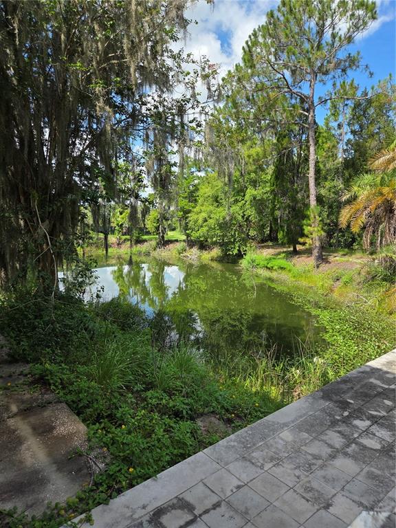 1822 Branch Forbes Road Plant City, FL 33565 - Photo 45 of 47 Gallery Image 45
