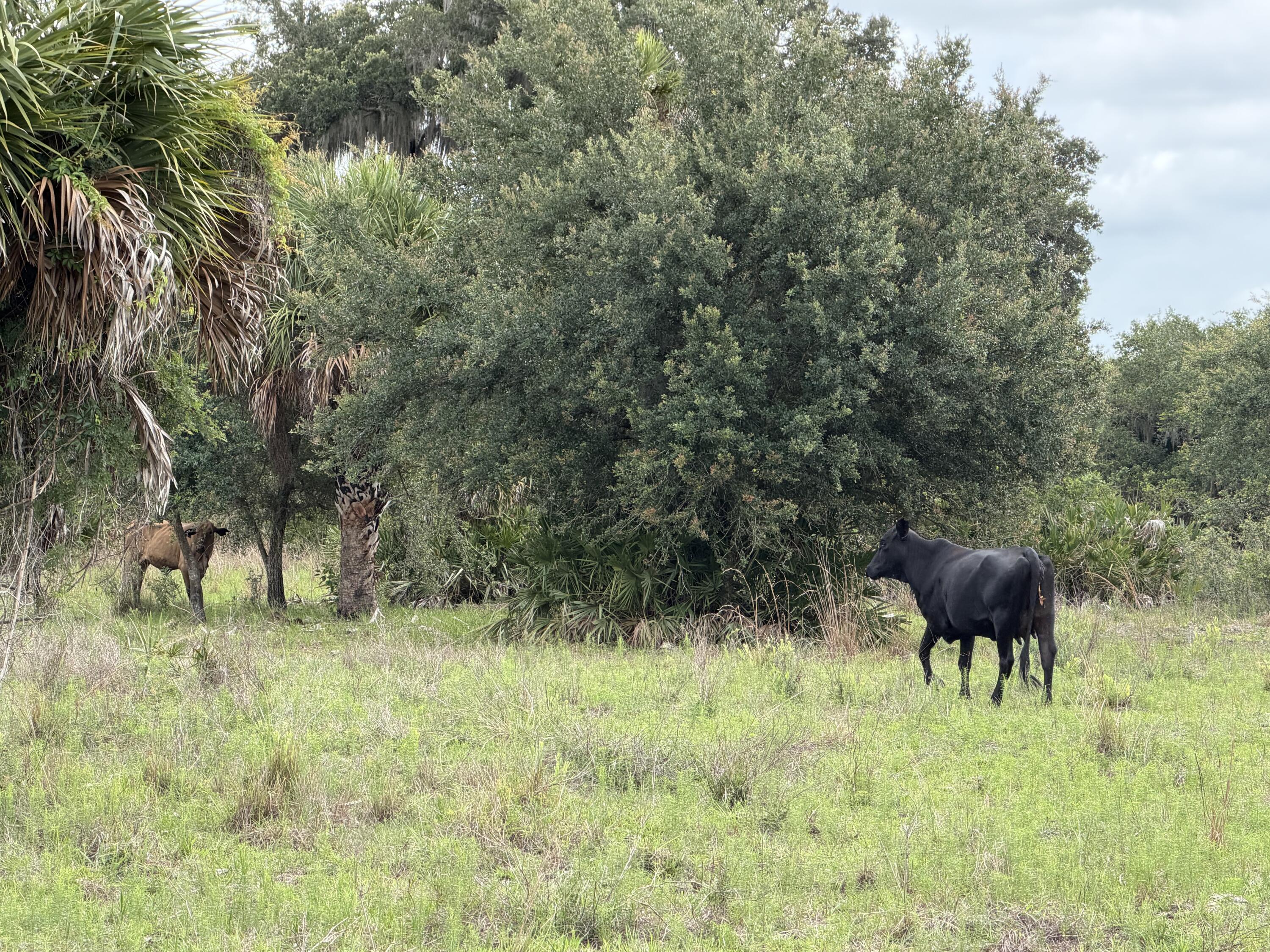 0 Co Road Clewiston, FL 33440 - Photo 39 of 40 IMG_0950