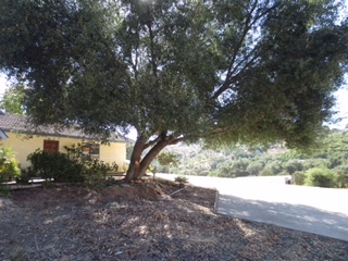 33215 Lilac Road Valley Center, CA 92082 - Photo 19 of 25
