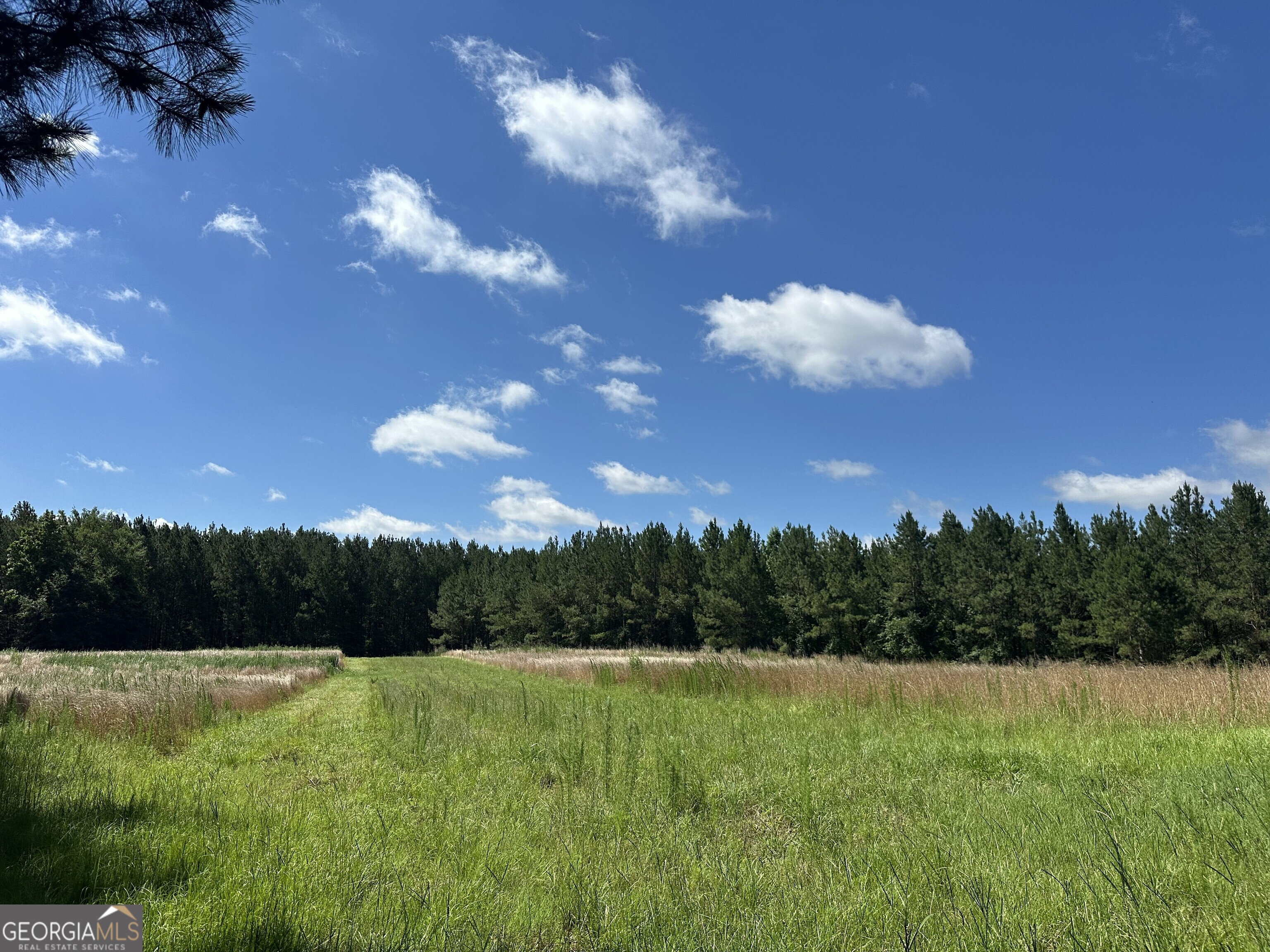 3330 Callaway Road Greensboro, GA 30642 - Photo 83 of 83