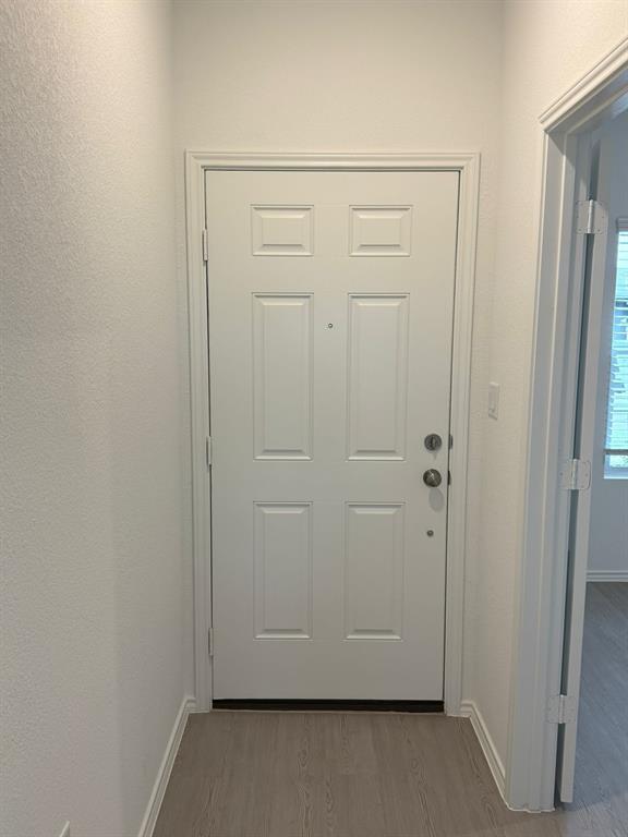 106 Brabham Loop Hutto, TX 78634 - Photo 8 of 40 Entryway featuring a paneled door, light wood-finish flooring, and crisp white trim