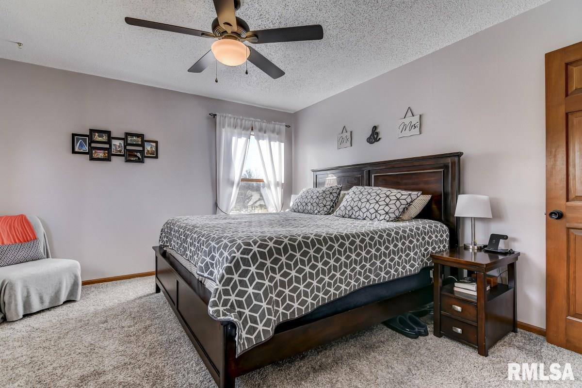 360 South Farmingdale Road New Berlin, IL 62670 - Photo 17 of 37
