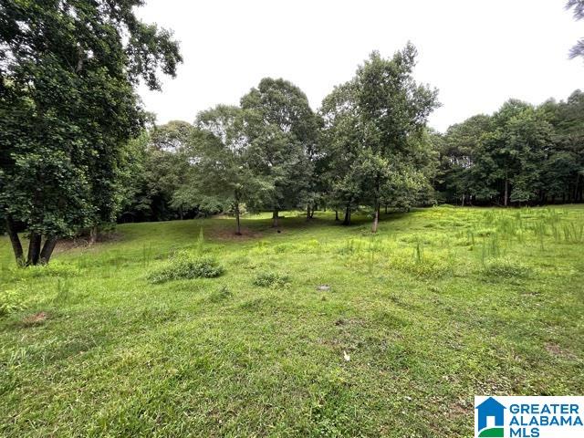 2829 Leander Road Daviston, AL 36256 - Photo 15 of 20