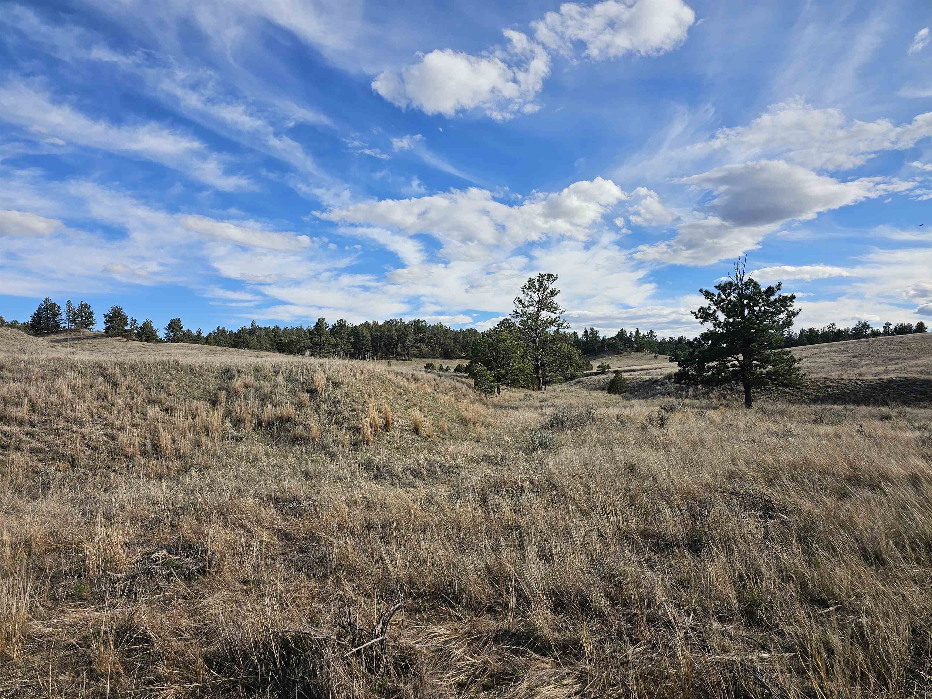52 Wendover Road Guernsey, WY 82214 - Photo 22 of 42