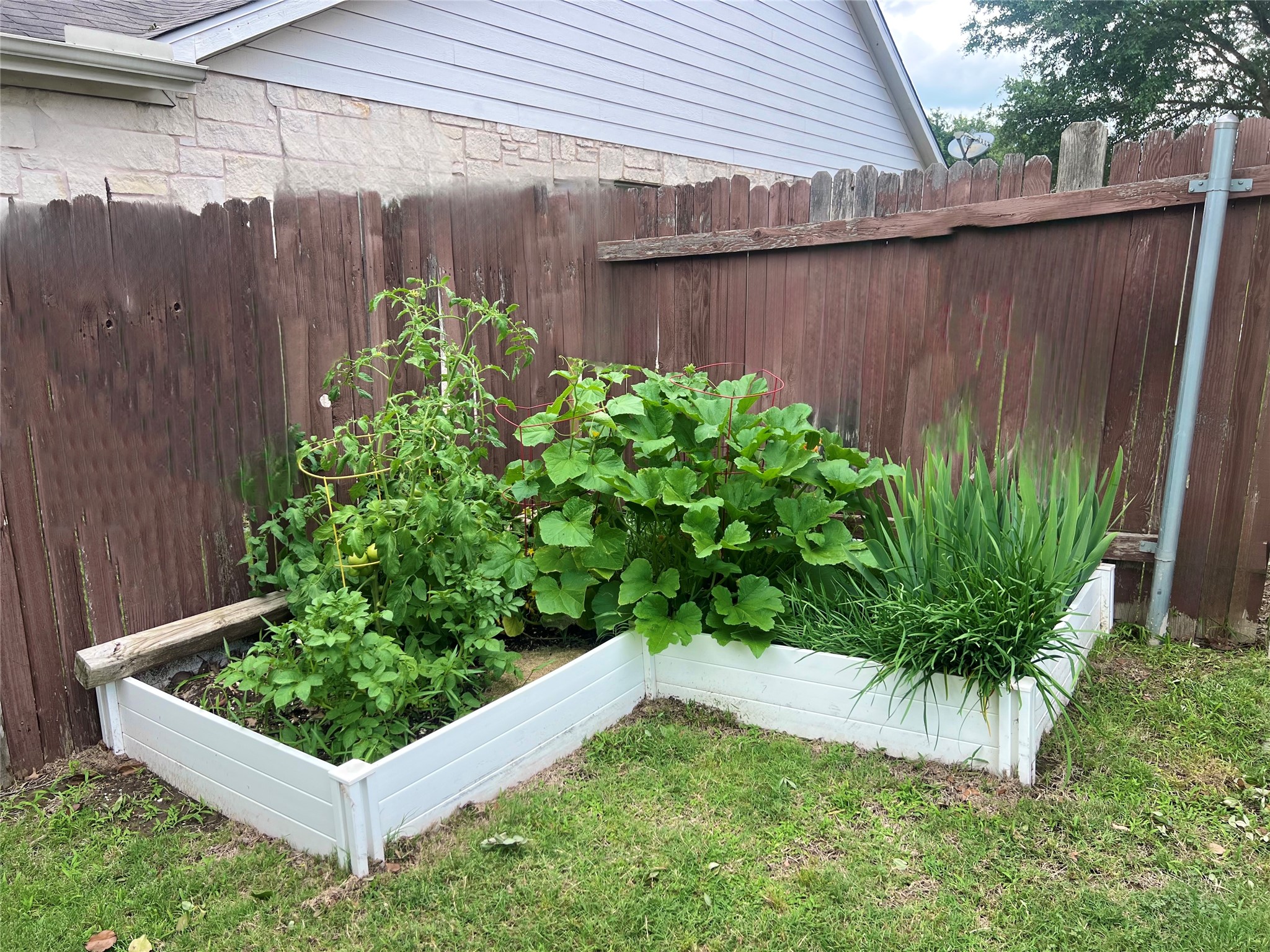 17705 Mahonia Lane Elgin, TX 78621 - Photo 33 of 37 Summer raised flower bed in backyard! Already has veggies!