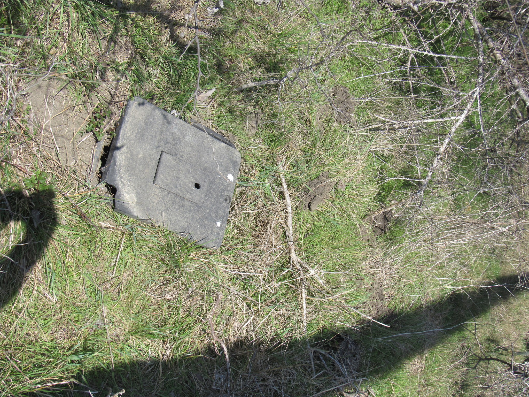 7669 Nez Perce Trace Manor, TX 78653 - Photo 11 of 14 Exterior details with a water meter