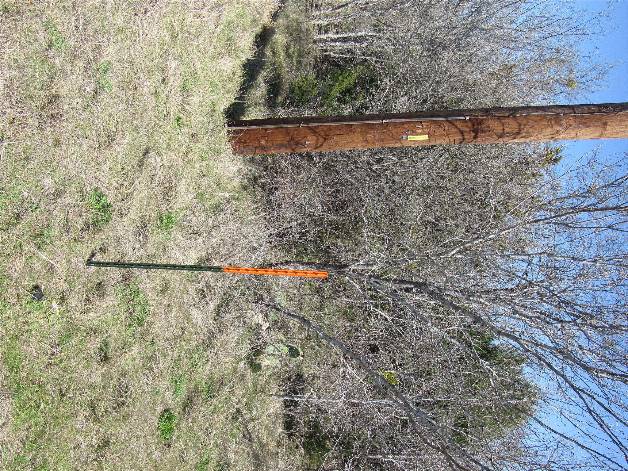 7669 Nez Perce Trace Manor, TX 78653 - Photo 13 of 14 View of local wilderness
