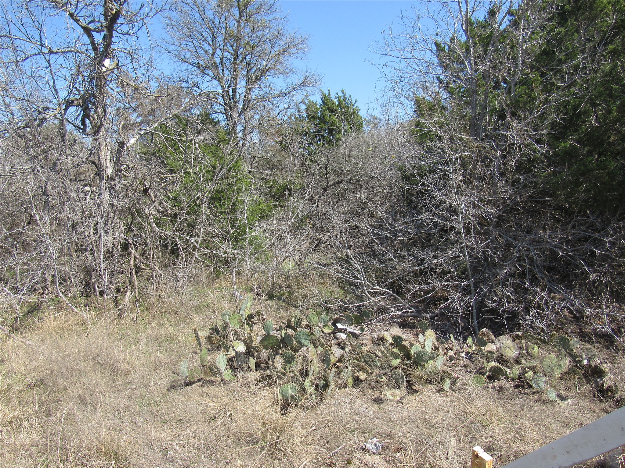 7669 Nez Perce Trace Manor, TX 78653 - Photo 10 of 14 View of landscape