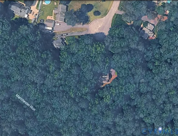 a view of a forest that has large trees