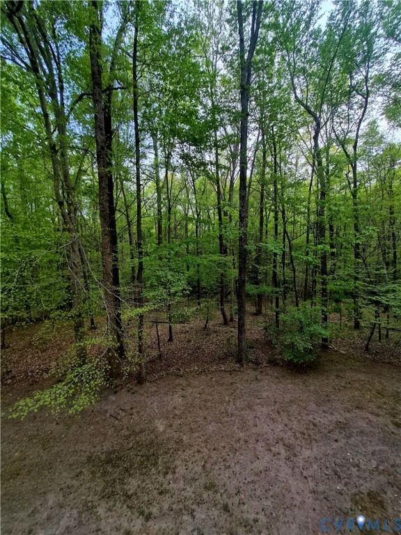 4099 Doe Run Road Hopewell, VA 23860 - Photo 32 of 35