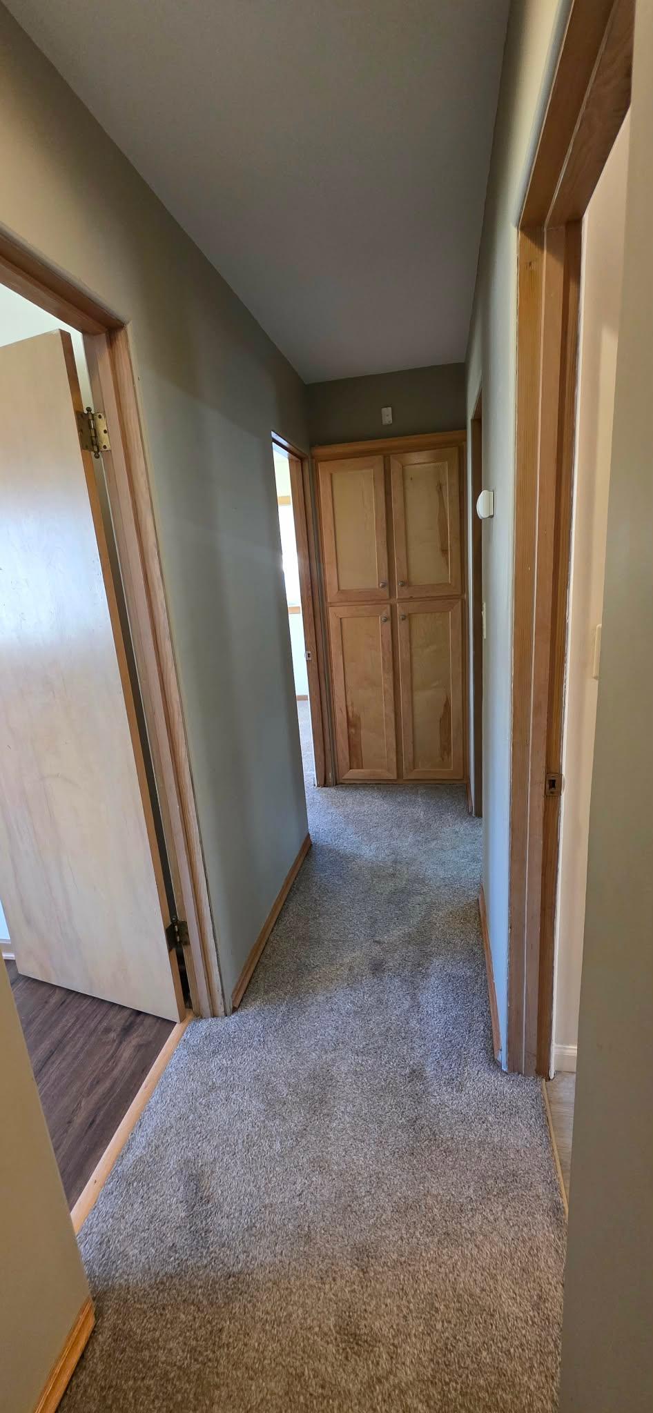 307 Channel Road Albert Lea, MN 56007 - Photo 14 of 51