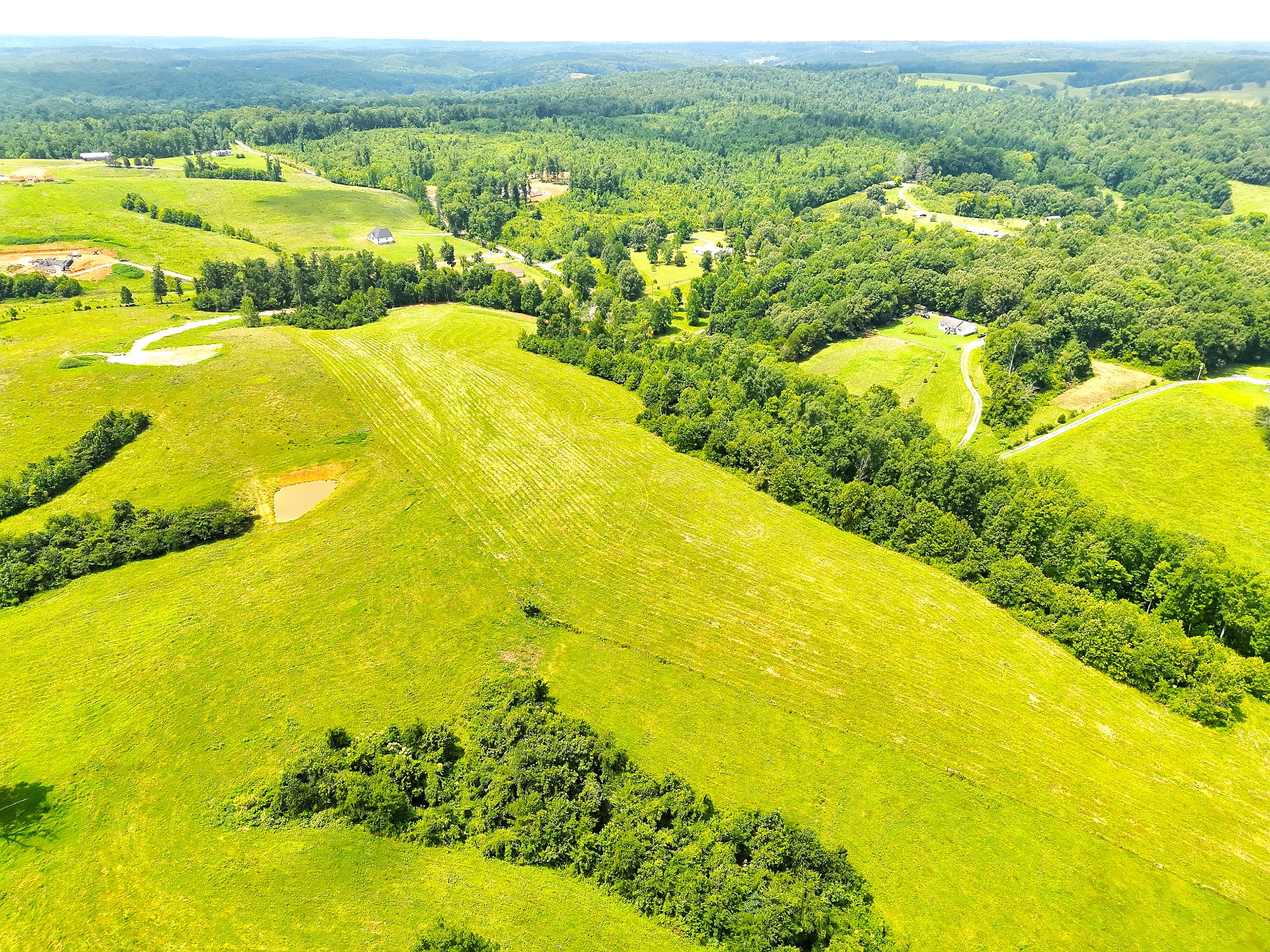 0 Brigham Branch Road Erin, TN 37061 - Photo 5 of 16 Gallery Image 5