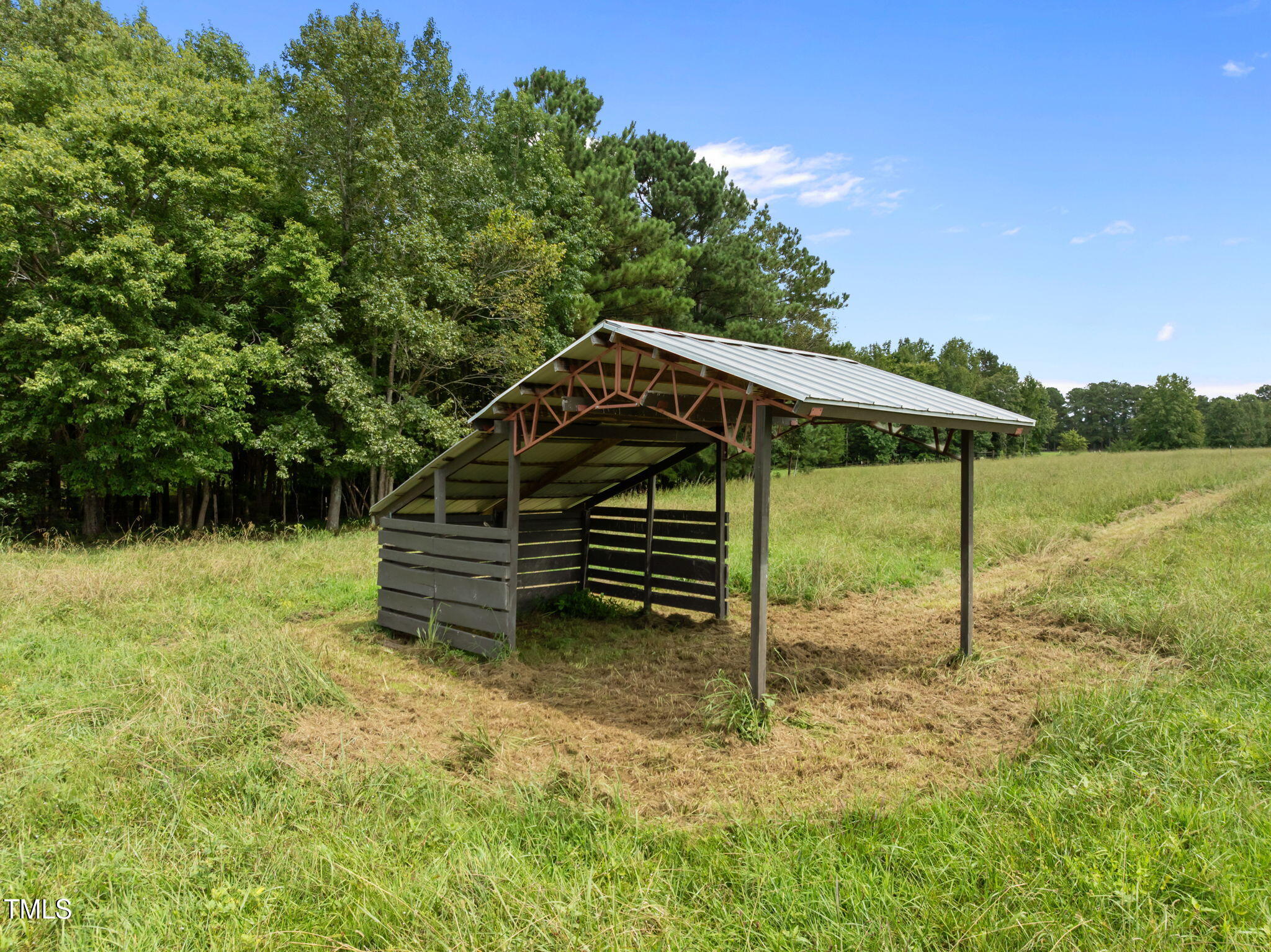 4715 Uzzle Road Rougemont, NC 27572 - Photo 58 of 68 a backyard of a house with table and chairs