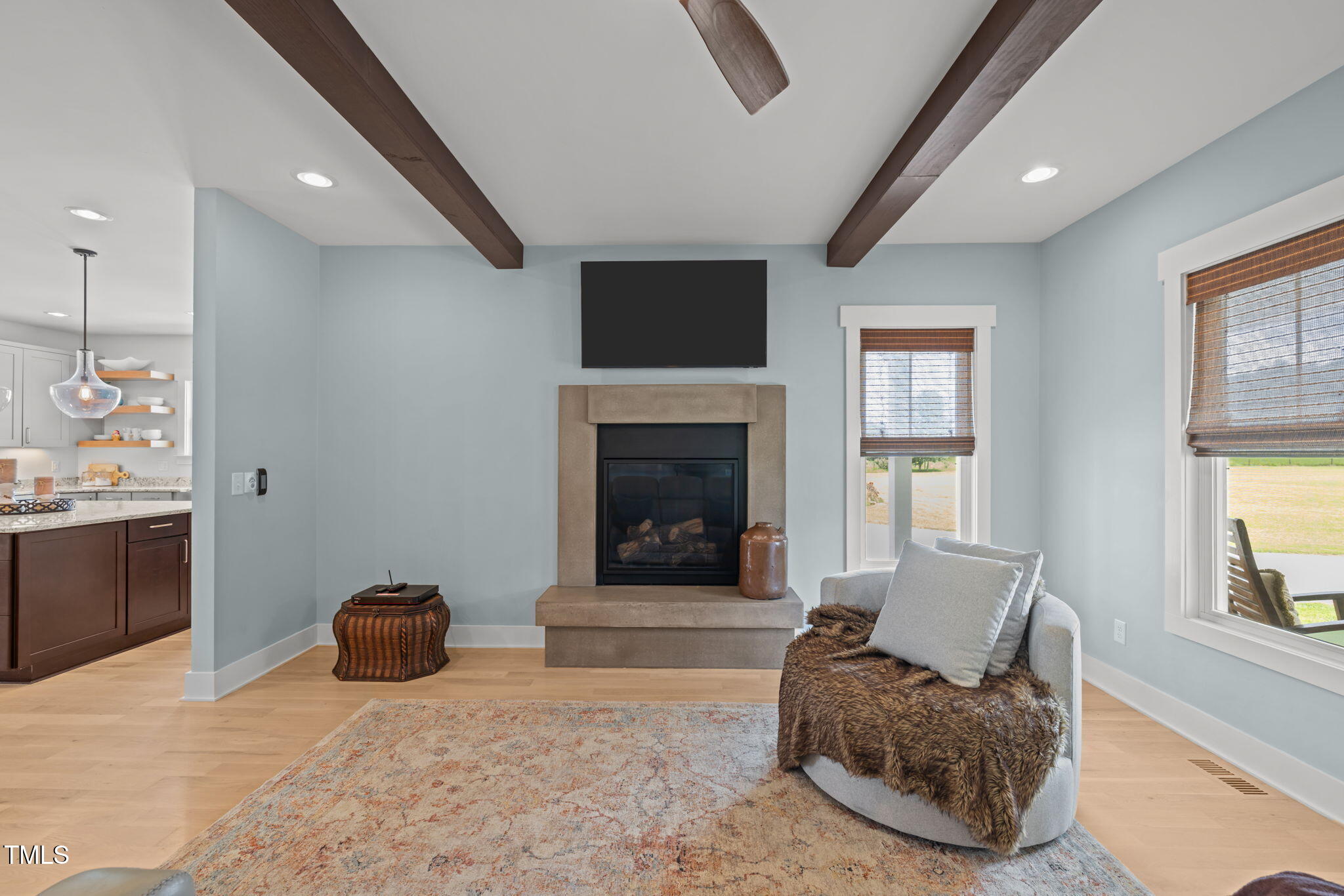 4715 Uzzle Road Rougemont, NC 27572 - Photo 9 of 68 a living room with furniture and a fireplace