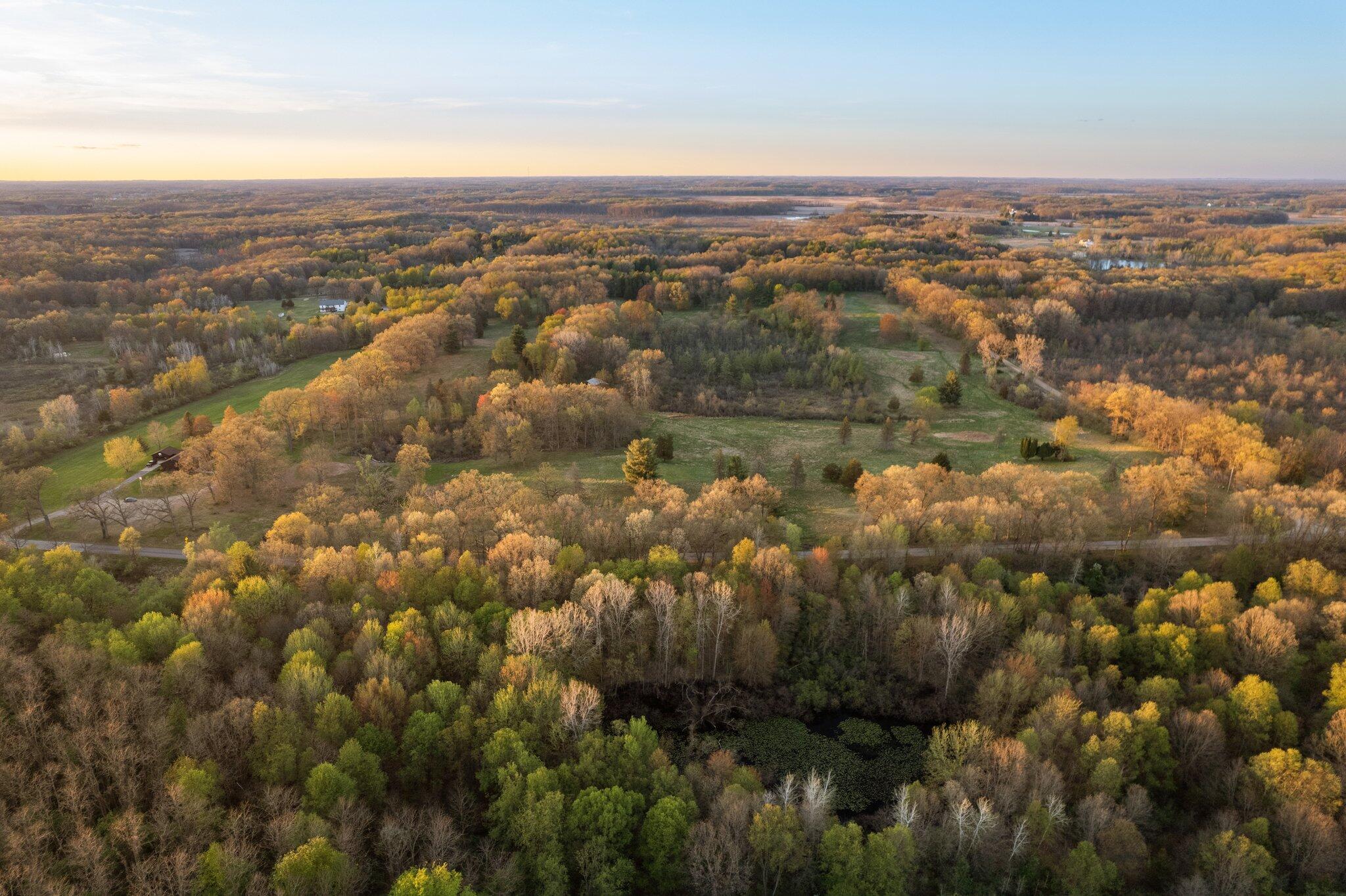 Moeckel Road Grass Lake, MI 49240 - Photo 4 of 65 4-web-or-mls-DJI_0442