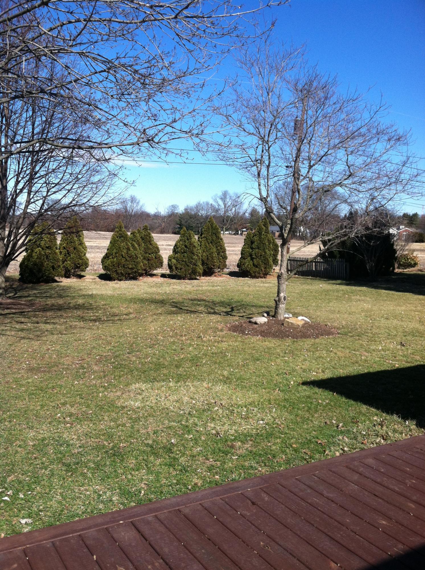 320 Edwards Road Circleville, OH 43113 - Photo 20 of 21 Gallery Image 20