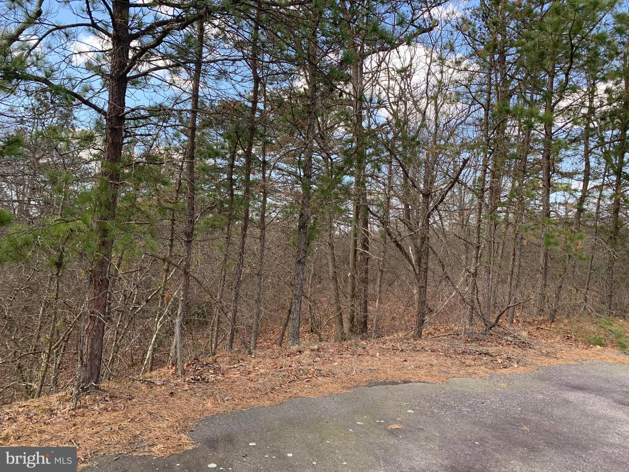 0 North Fairway Circle Hazleton, PA 18202 - Photo 12 of 16 a view of a yard with trees