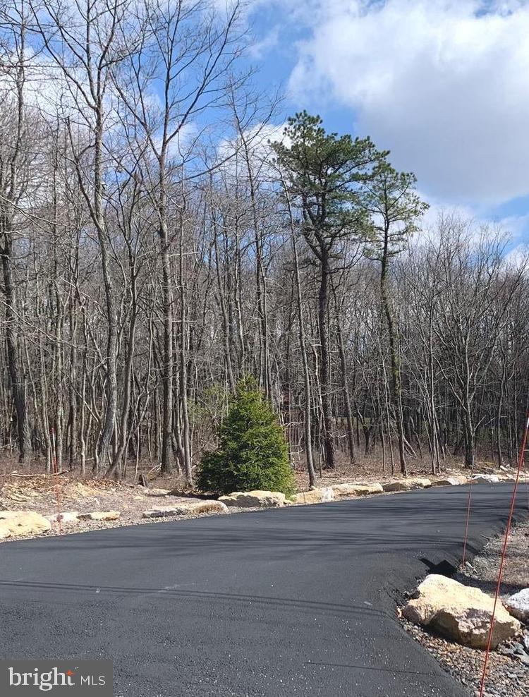 0 North Fairway Circle Hazleton, PA 18202 - Photo 13 of 16 a view of a yard with large trees