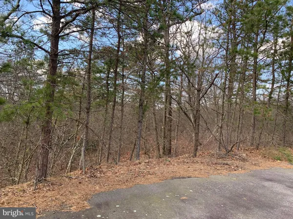 a view of a yard with trees