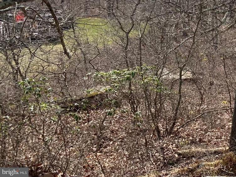 0 North Fairway Circle Hazleton, PA 18202 - Photo 15 of 16 a view of a large space with lots of trees