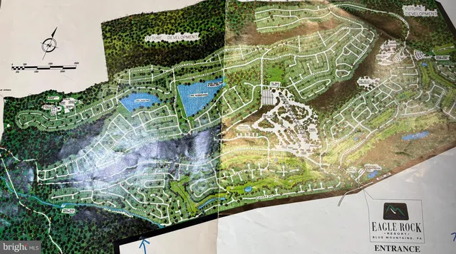 a view of a plant in a garden