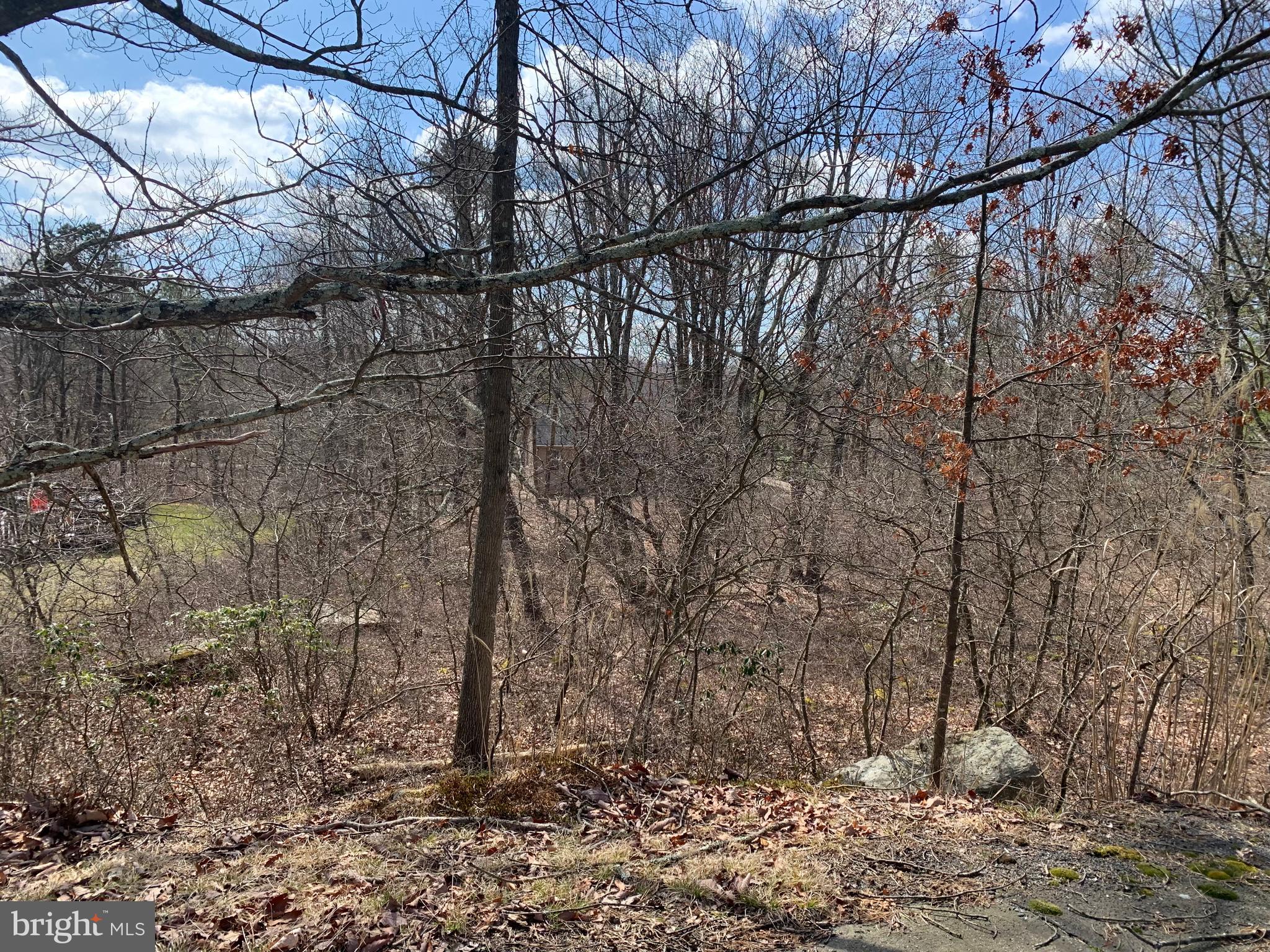 0 North Fairway Circle Hazleton, PA 18202 - Photo 10 of 16 a backyard of a house with lots of green space
