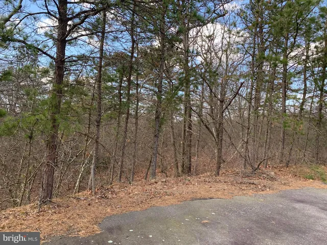 a view of a yard with trees