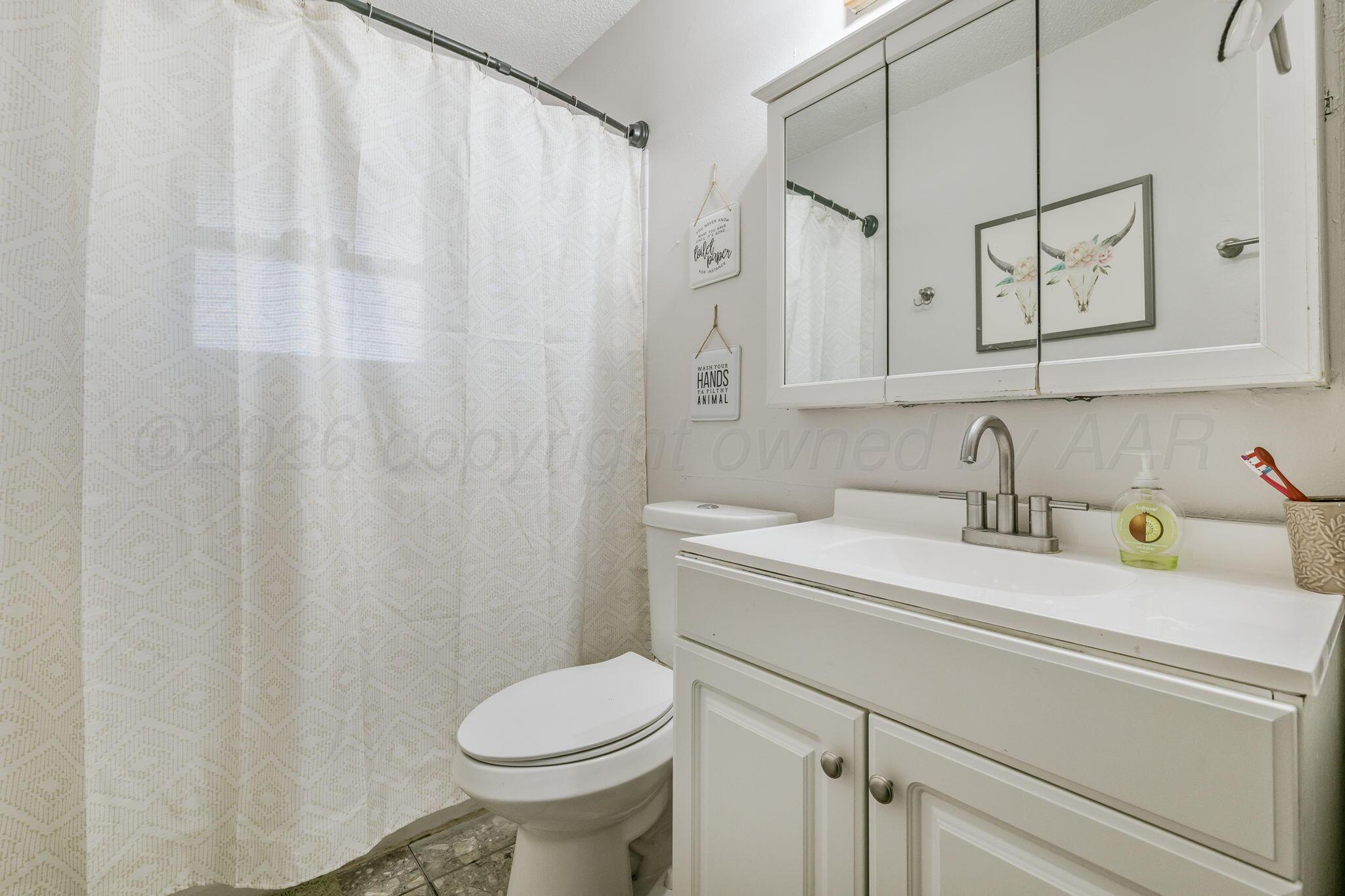 2907 South Manhattan Street Amarillo, TX 79103 - Photo 9 of 16 a bathroom with a sink a toilet and a mirror