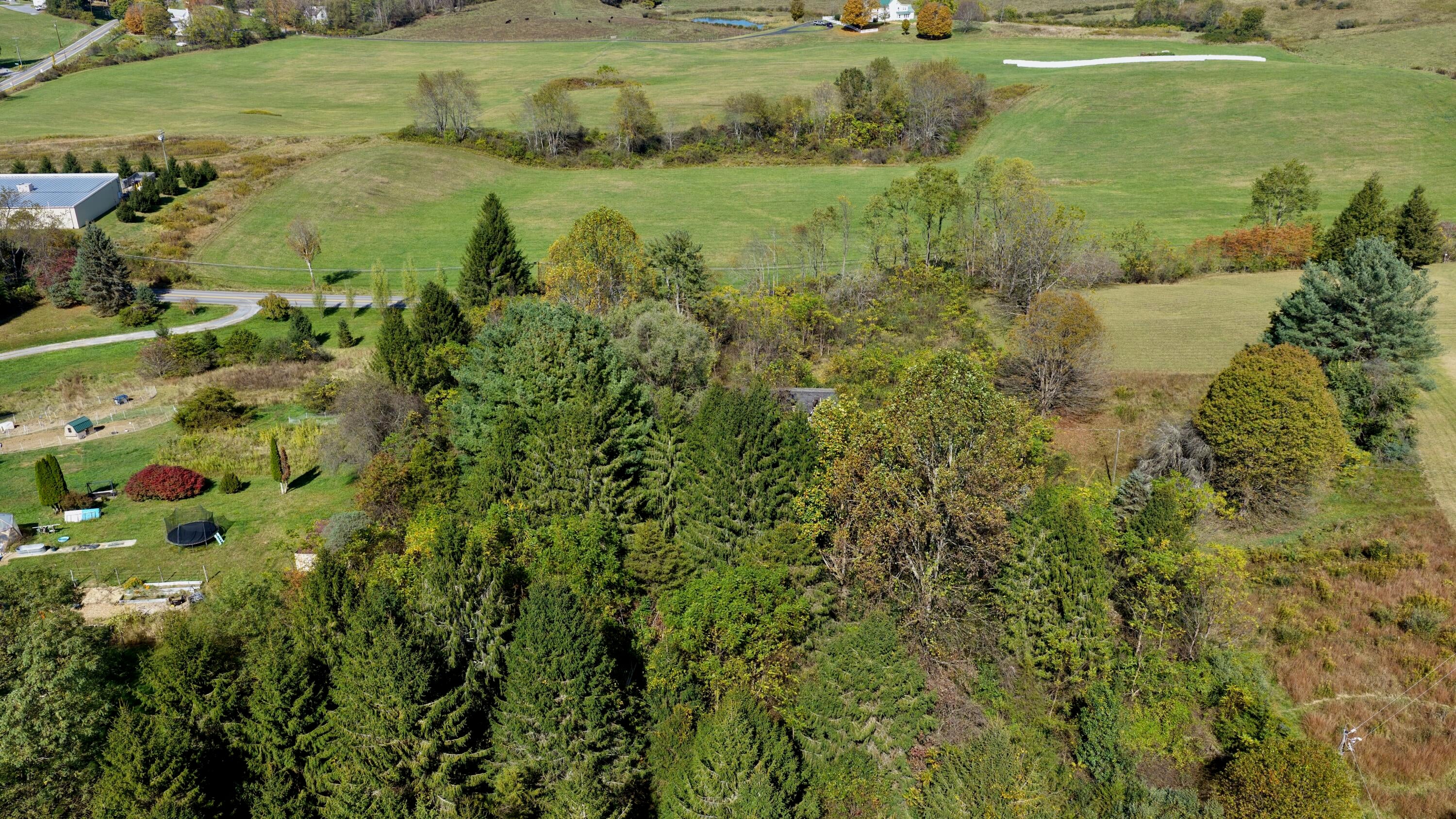 212 Anthony Ridge Road Frankford, WV 24938 - Photo 12 of 16 Gallery Image 12