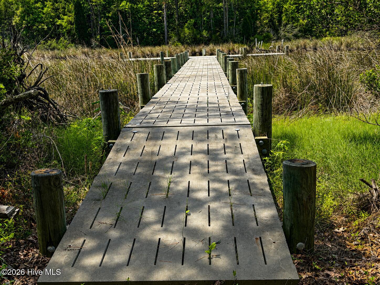 408 Tarpon Pointe Road Bath, NC 27808 - Photo 11 of 14 408 Tarpon Hogslat
