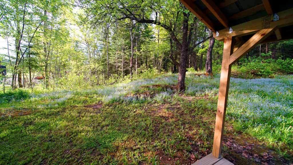 58 Rte 212 Merrill Me 04780 Merrill, ME 04780 - Photo 4 of 51 58-rt-212-merrill-18