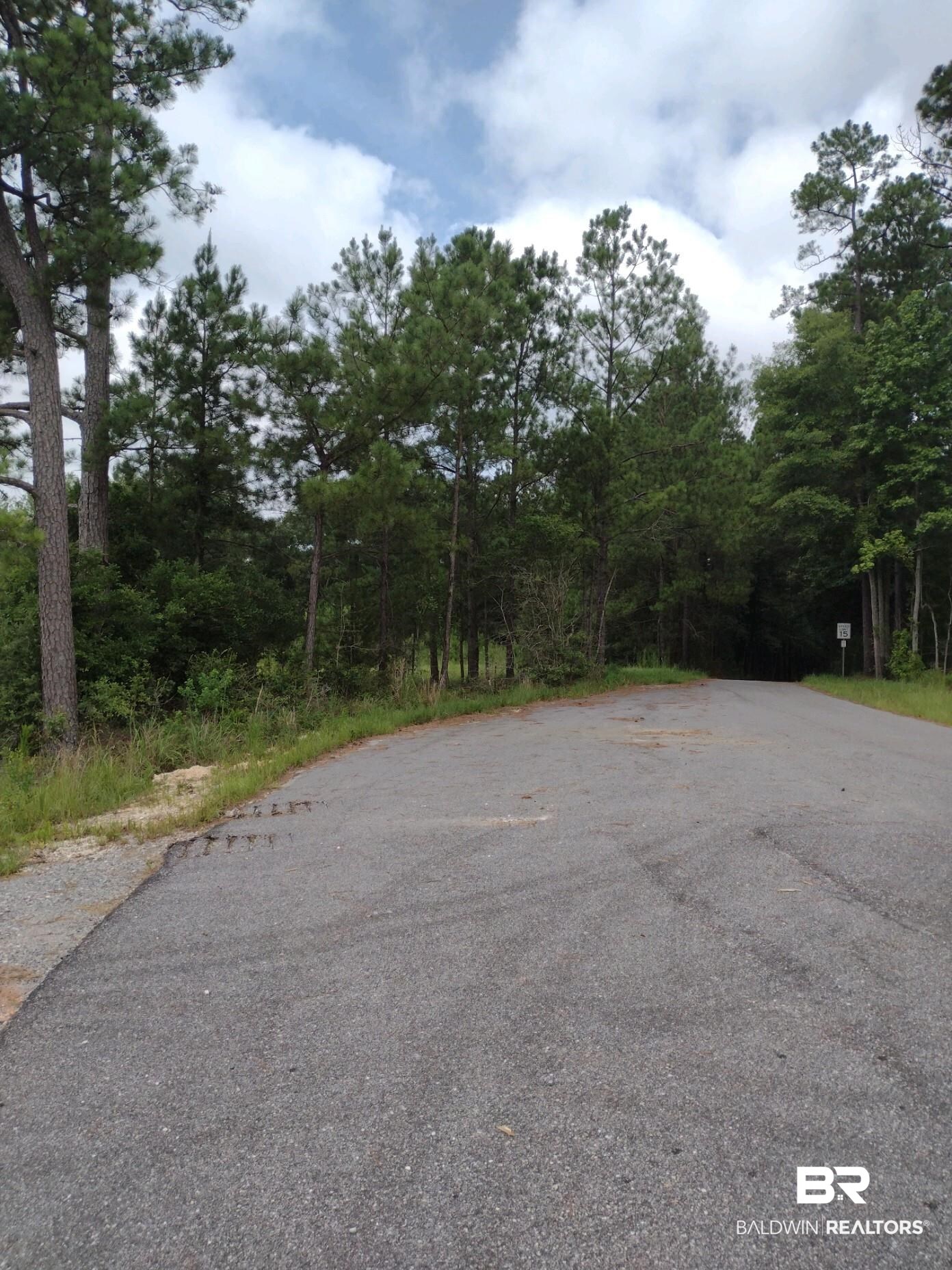 22200 Gap Weekley Road Perdido, AL 36562 - Photo 5 of 5
