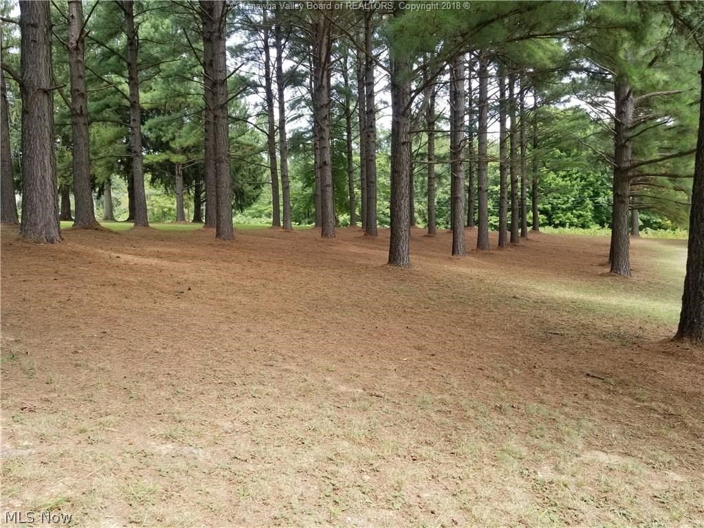 663 New England Ridge Road Washington, WV 26181 - Photo 26 of 30 Wooded View