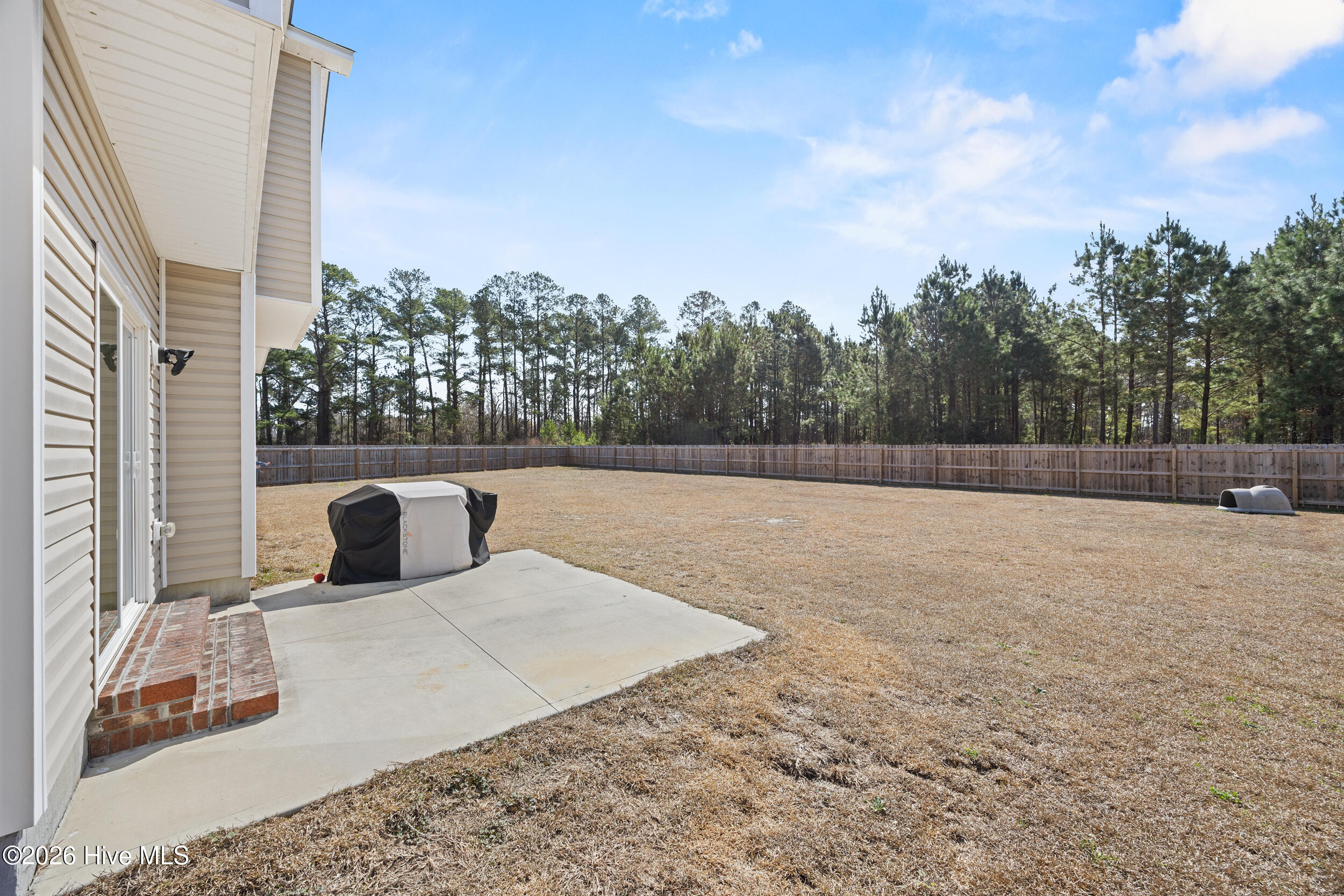 406 Silverstone Place Hubert, NC 28539 - Photo 39 of 49 42_patio