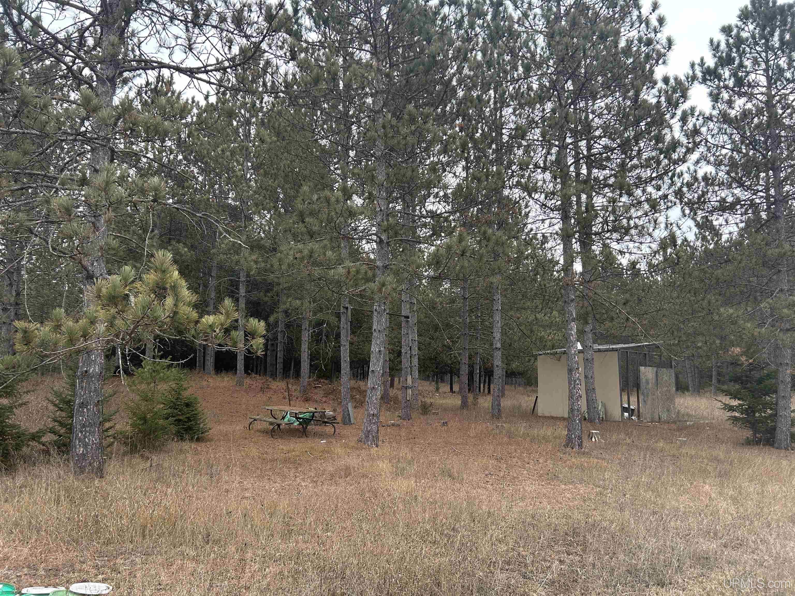 W4777 Lahay Road Daggett, MI 49821 - Photo 63 of 67
