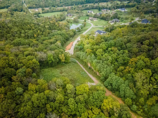 a view of a forest with a houses