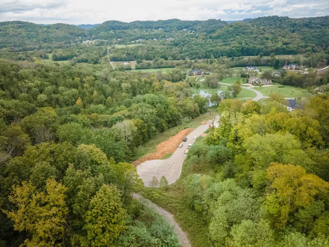 a view of a forest with a yard