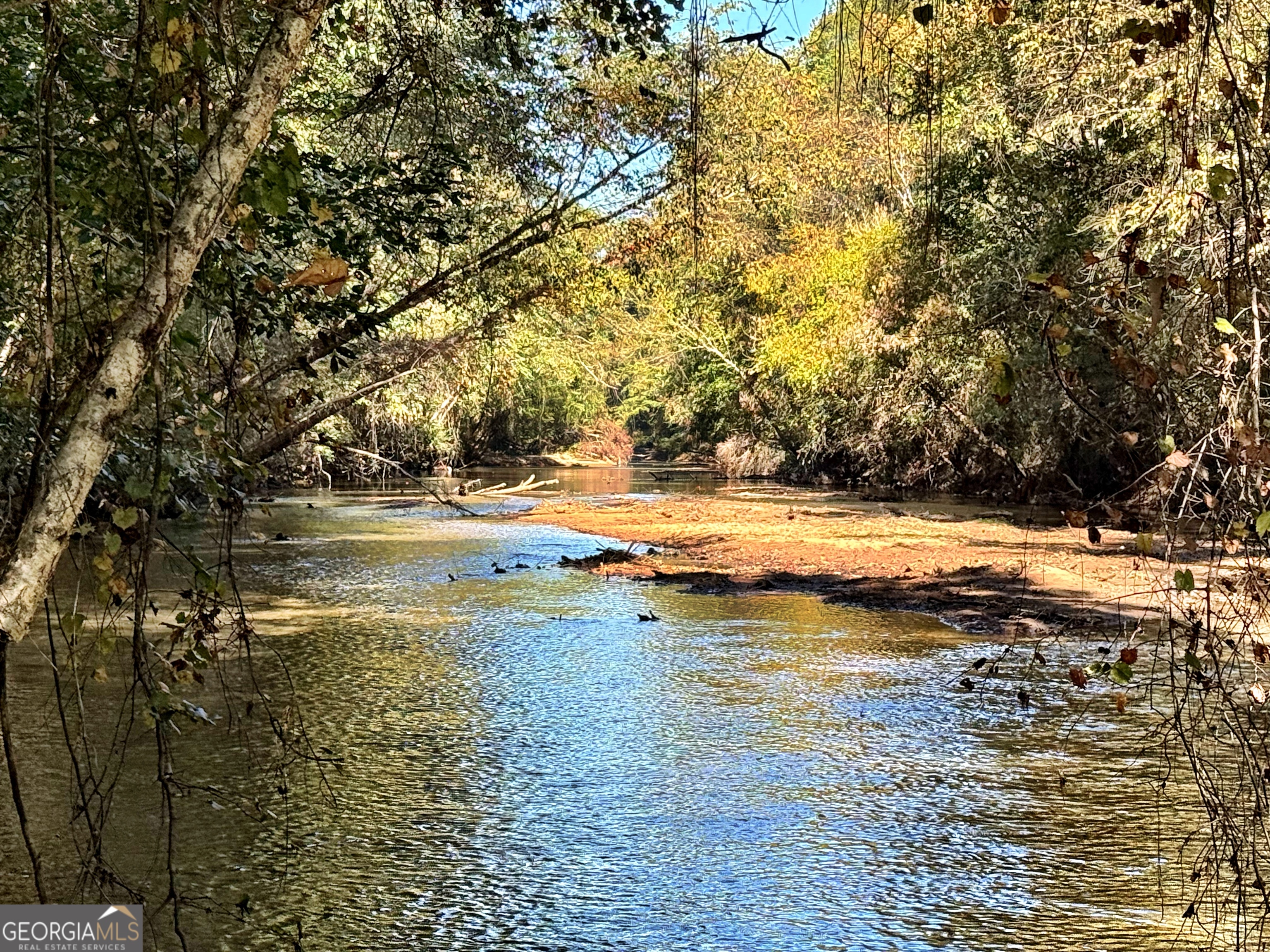 a view of yard with large trees