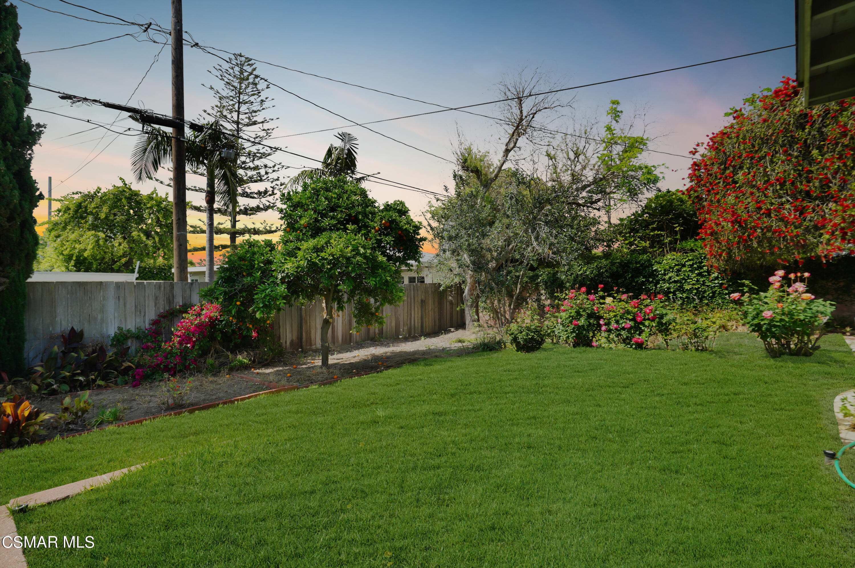 16 Mansfield Lane Camarillo, CA 93010 - Photo 18 of 22 a view of a backyard with plants and a large tree