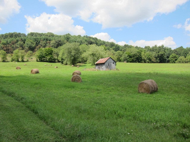2025 Pete Lynch Road Secondcreek, WV 24974 - Photo 16 of 94 Plush green fields with plenty of hay production.