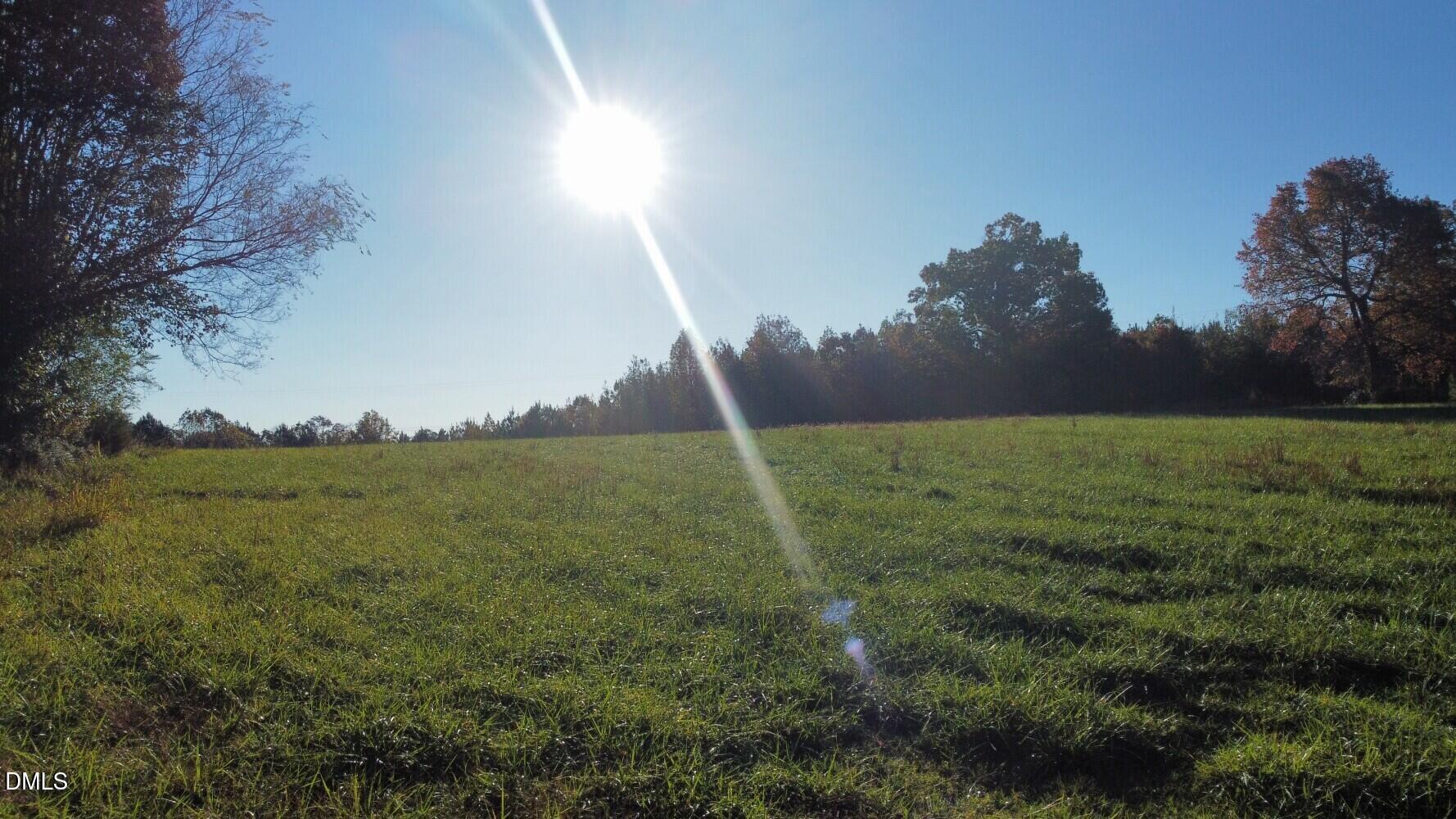 6900-6918 Russell Road Durham, NC 27712 - Photo 8 of 22 a backyard of a house with lots of green space