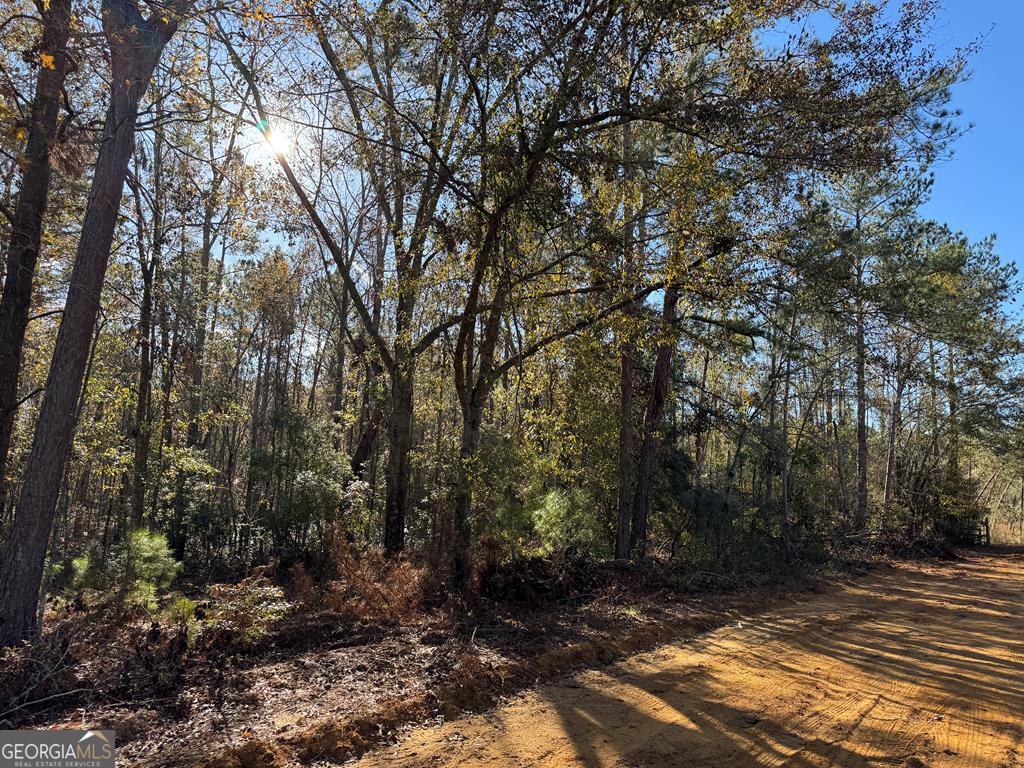 0 Simpson Road Lyons, GA 30436 - Photo 1 of 1 Main View