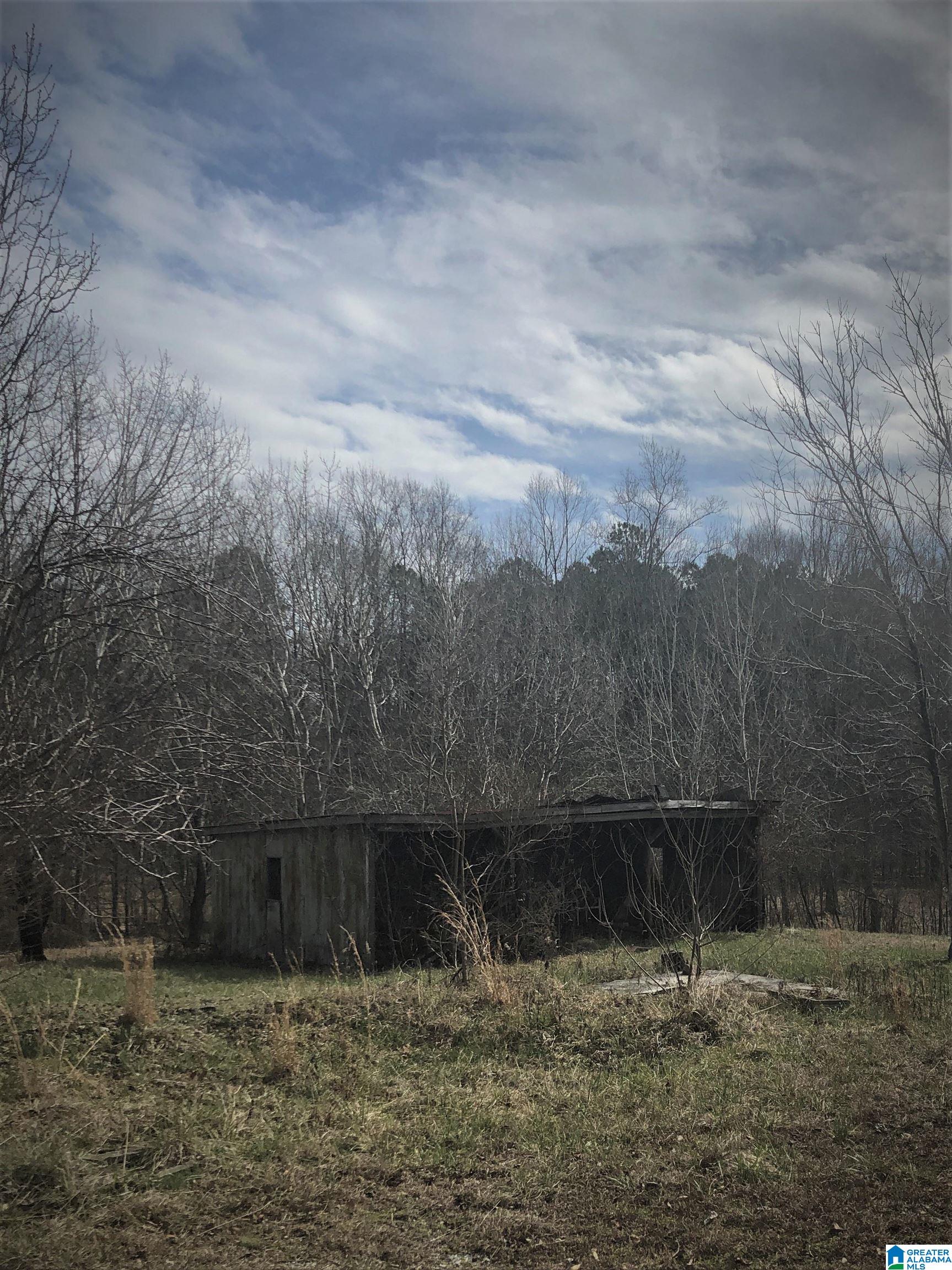 297 Smith Road Jemison, AL 35085 - Photo 20 of 20