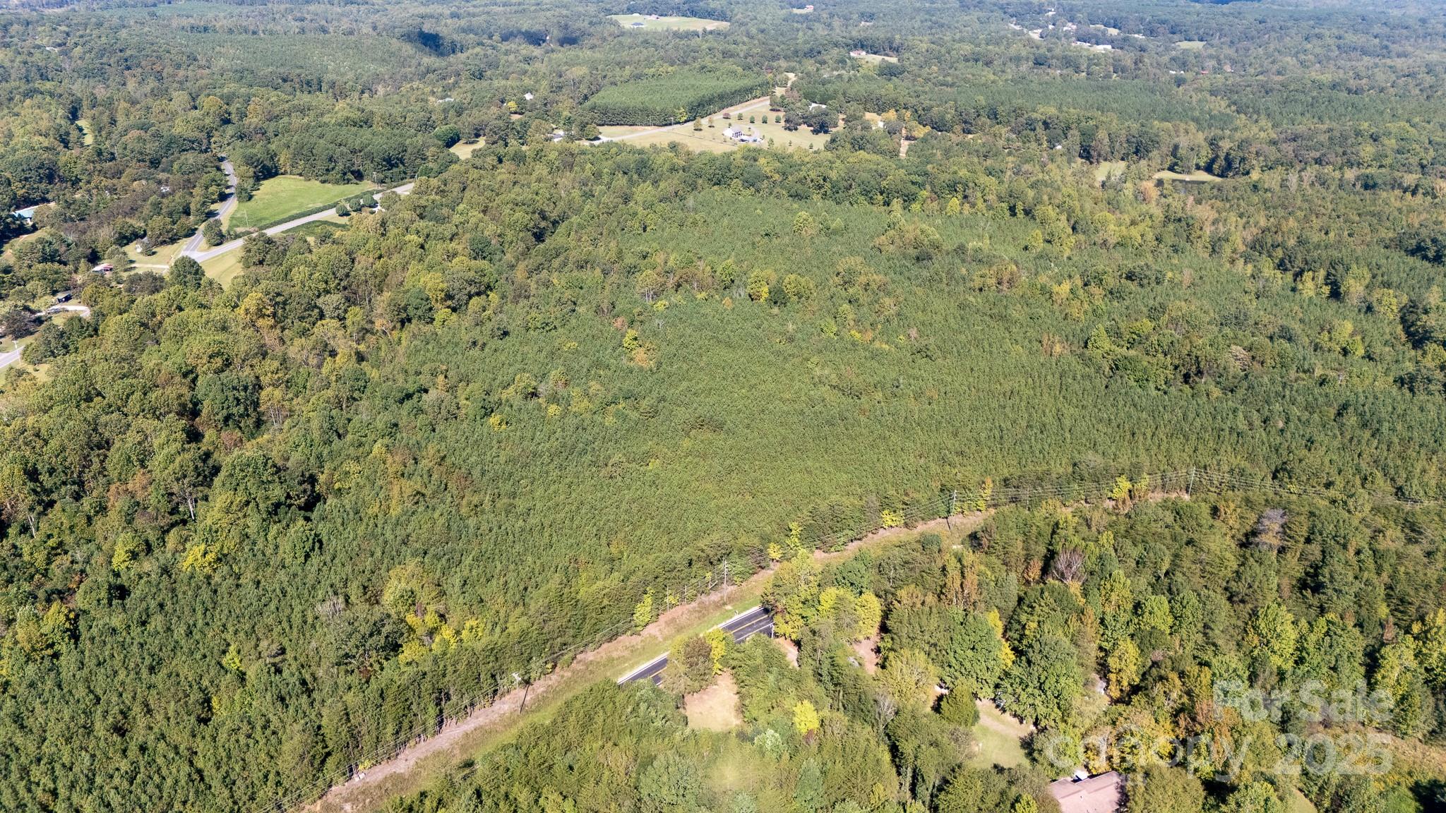 Lot 1 Rhyne Road Clover, SC 29710 - Photo 4 of 17 a view of a forest with a lake